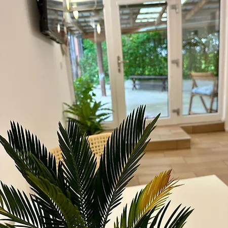 Alpine Echo * بوويتش