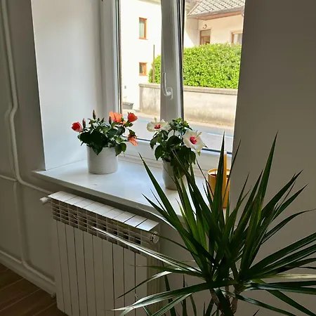 Alpine Echo * بوويتش