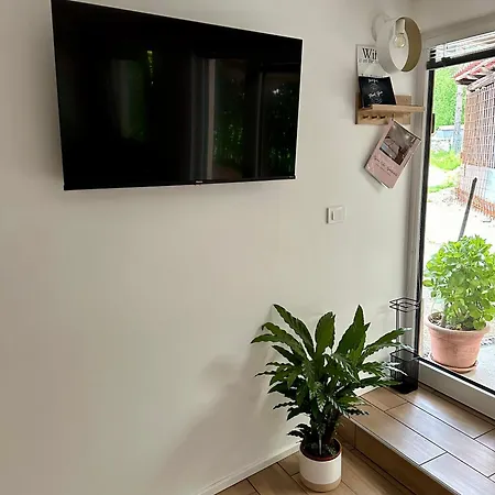 Alpine Echo Apartament