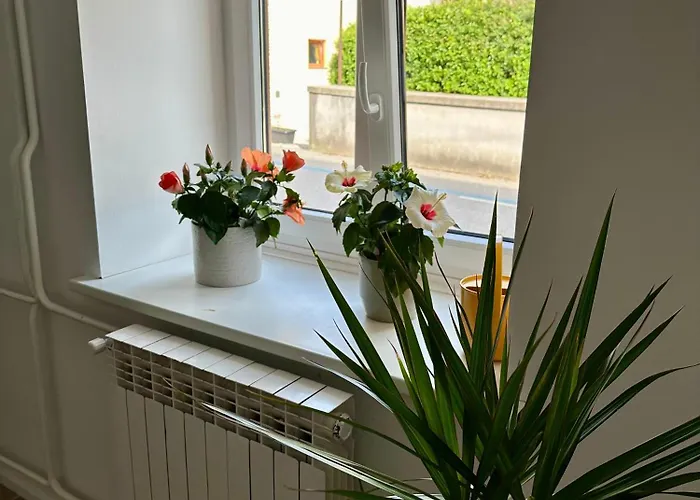 Alpine Echo * 博维茨